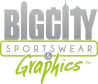 bigcitysportswear.com